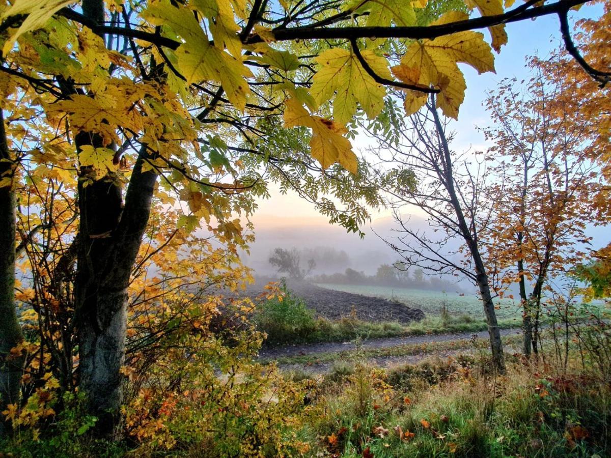 Chata Waliszow Nowy Waliszow Esterno foto