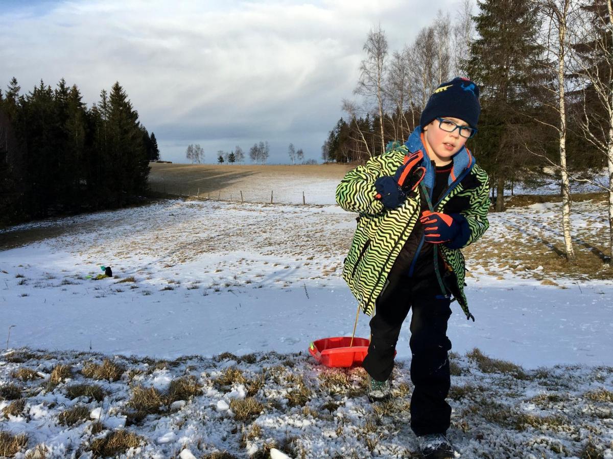 Chata Waliszow Nowy Waliszow Esterno foto